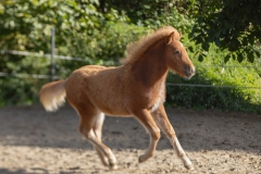 IMG_2083-2-Verbessert-RR